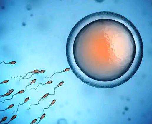 贵州有捐卵 2022年贵州供卵试管成功率一览表 ‘从九个周孕囊看男女’