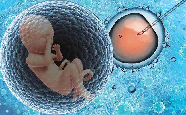 贵阳试管代孕精子怎么出来|宁波供卵试管婴儿医院排名?试管婴儿成功率高的医